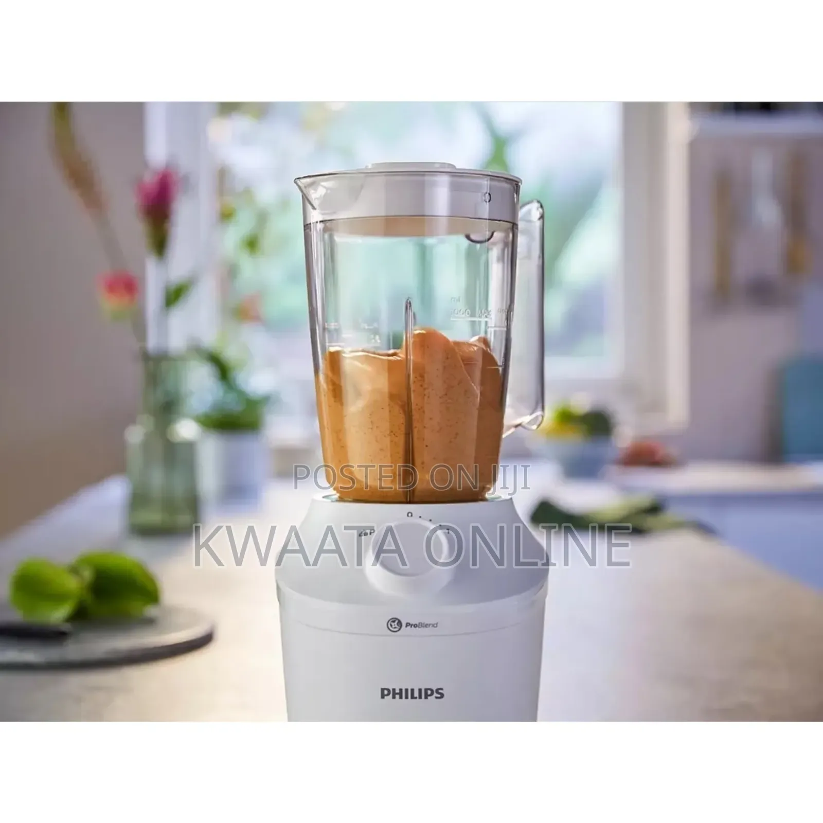 Philips Quality Heavy Duty Electric Blender. Hr2041