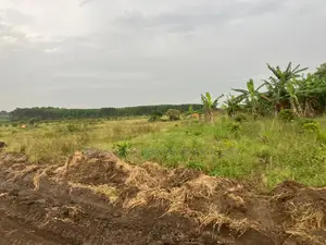 500 Acres of Private Mailo Land in Mityana, 1km From Tarmac