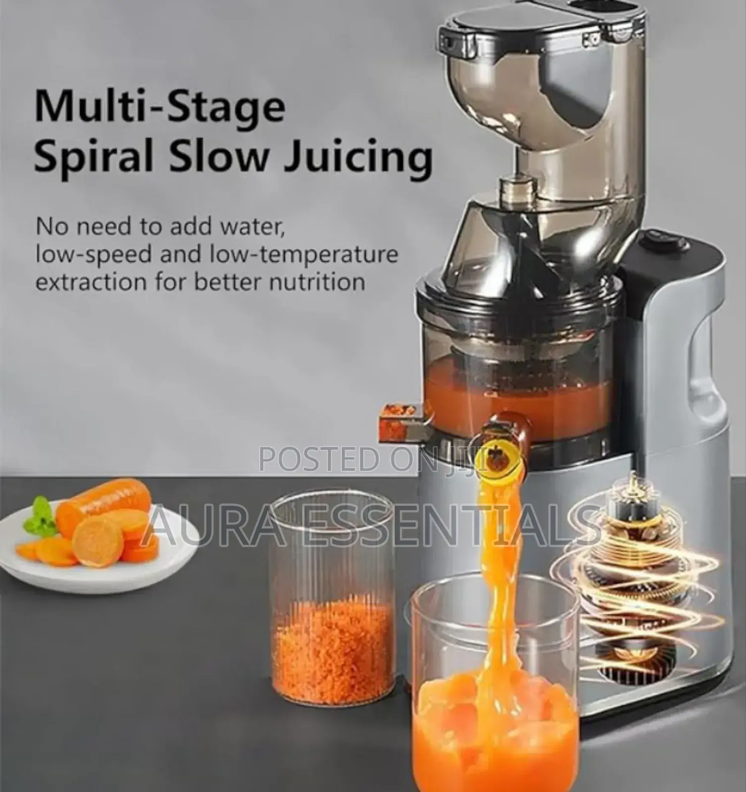 Raf Cold Press Multifunction Juicer