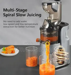 Raf Cold Press Multifunction Juicer