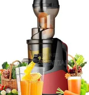 Raf Cold Press Multifunction Juicer