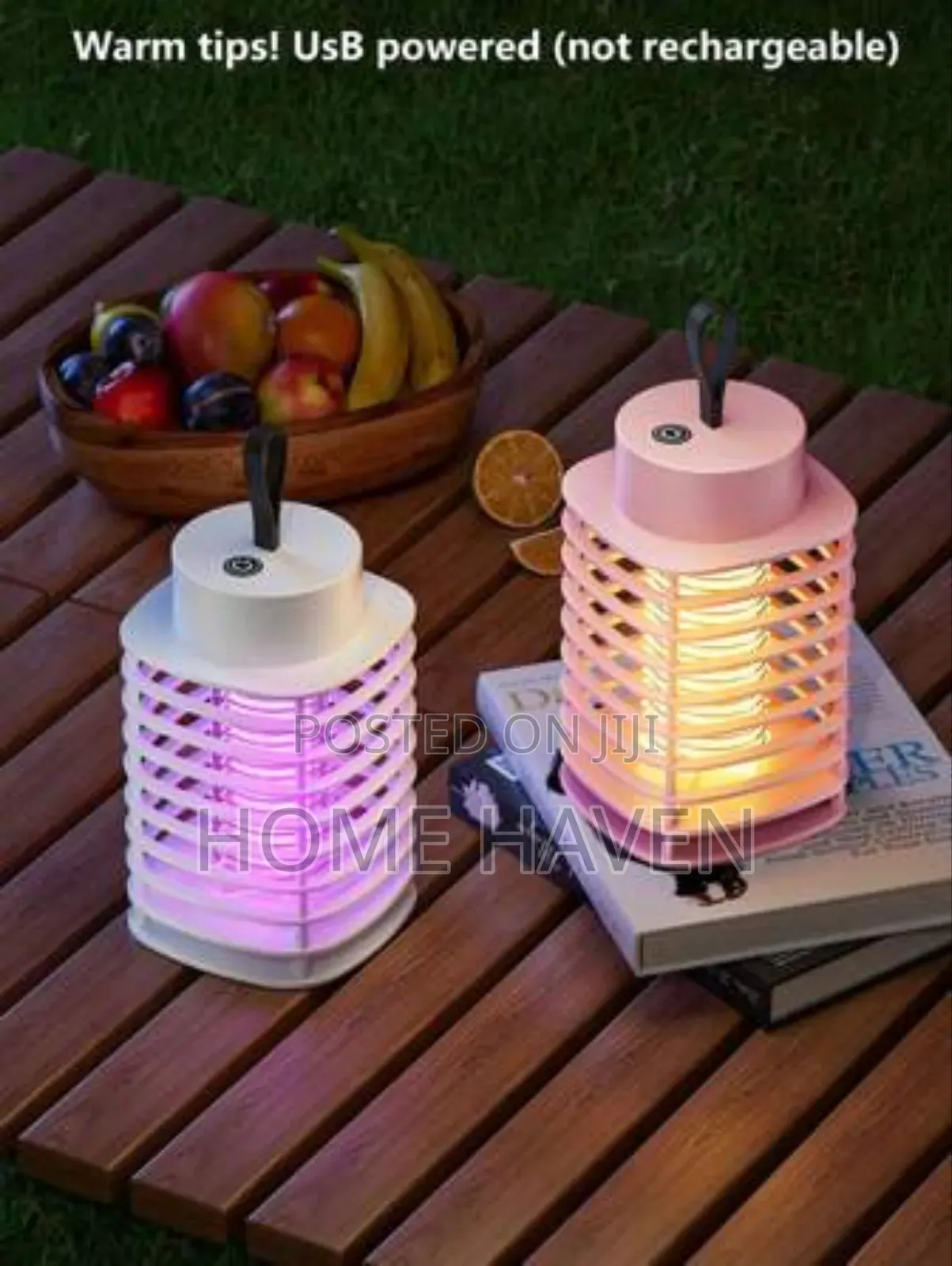 Electric Mosquito Killing Lamp