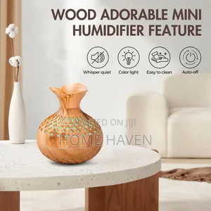 300ml Aromatherapy Humidifier