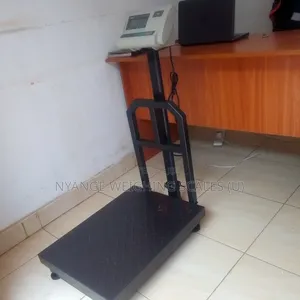 Platform Balance Weighing Scales 300kg Weigh Digital Weighing Scale