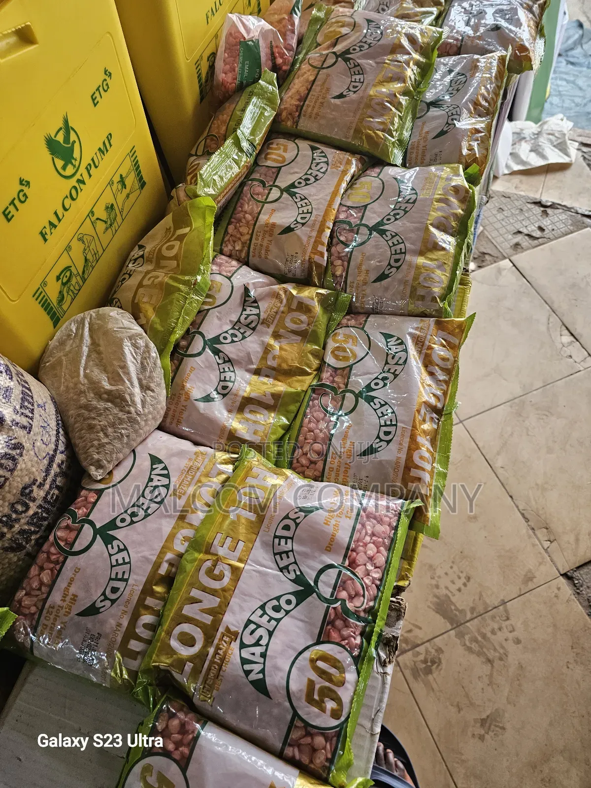 Longe 10h Hybrid Maize Seeds.