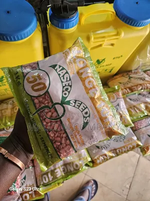 Longe 10h Hybrid Maize Seeds.