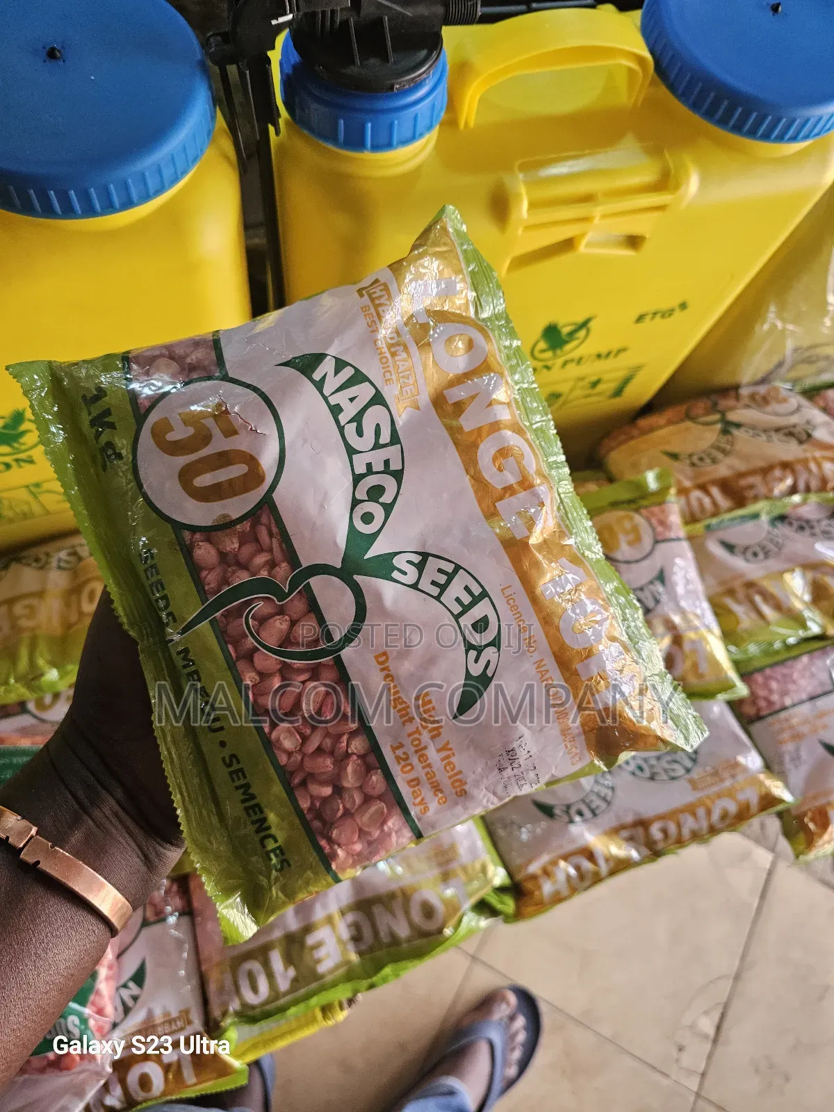 Longe 10h Hybrid Maize Seeds.