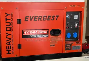 Diesel Generator Ever Best