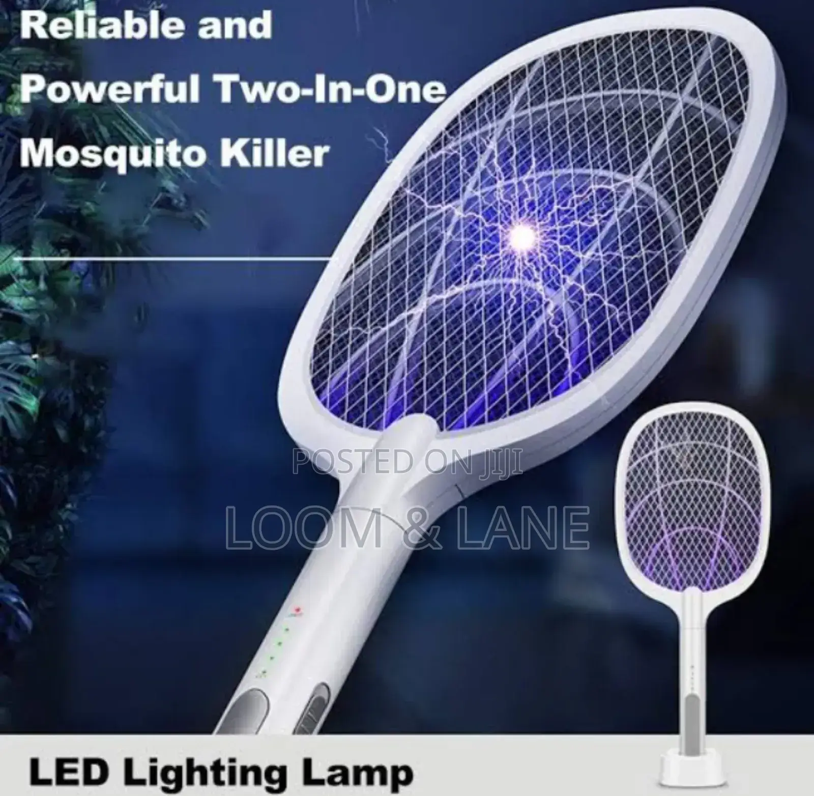 Mosquito Swatted With Stand Holder
