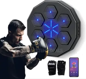 Wall Mount Boxing Machine With Gloves
