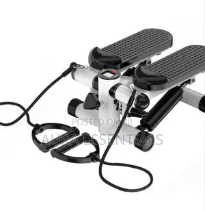 Sunny Health Fitness Mini Stepper for Exercise