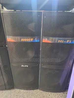 Ailipu Double 9043 Speaker