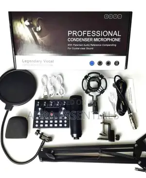 Rofessional Condenser Microphone V10