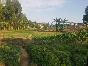 Commercial Land 5acrs on Sale in Bweyogerere Welspring 1.7m