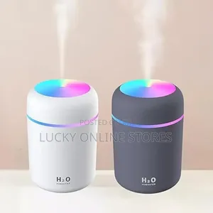 Portable Ultra Sonic Humidifier