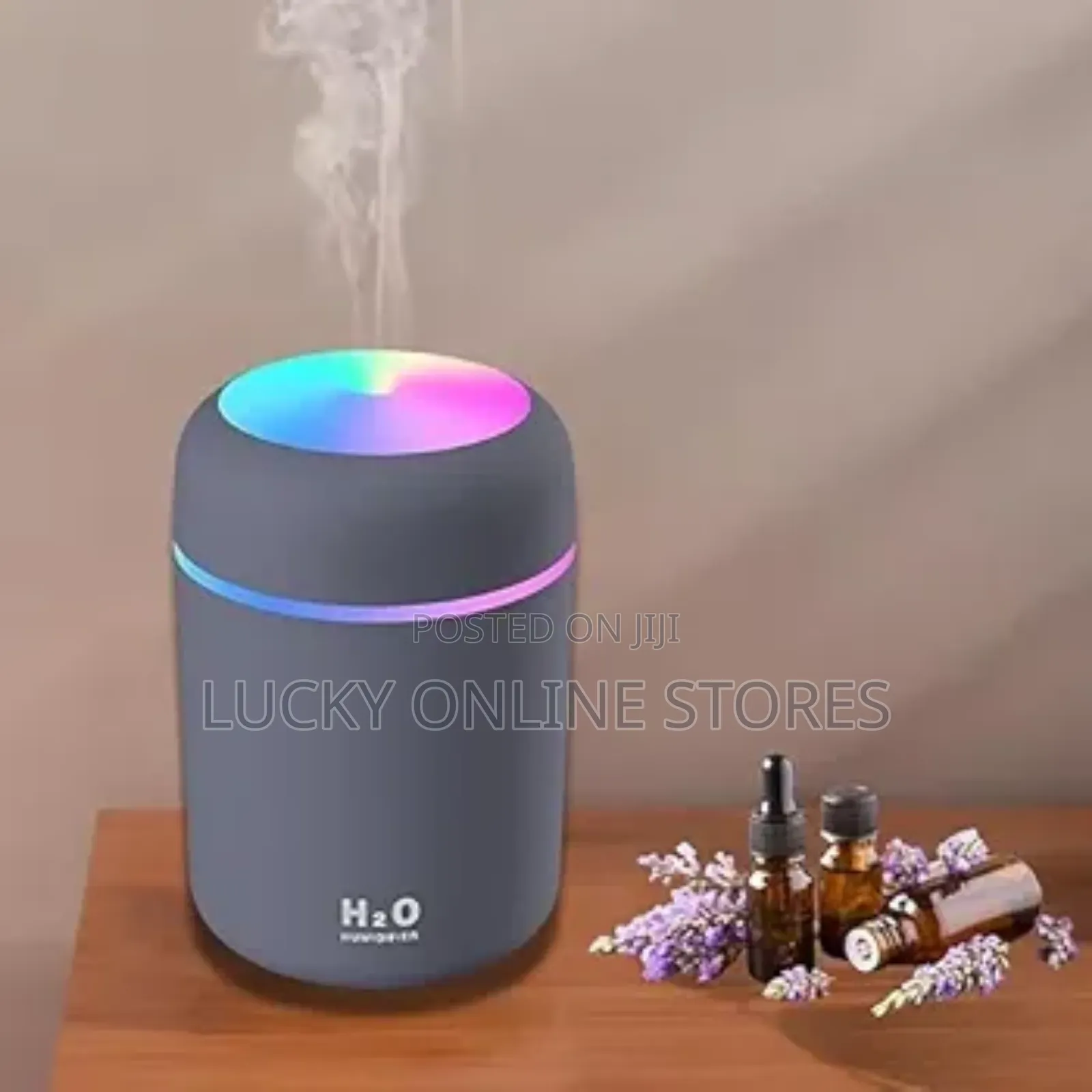 Portable Ultra Sonic Humidifier
