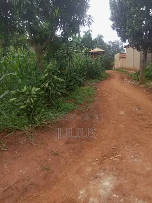 Private Milo Land