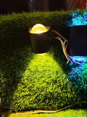 Luxury Led Up and Down Wall Light