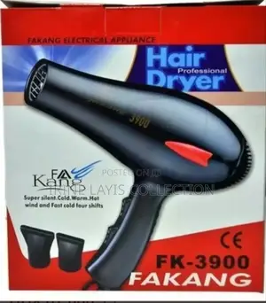 Fakang Fk 3900 Hair Dryer