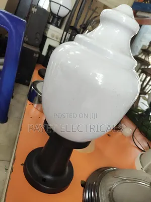 White and Black Top Face Security Light