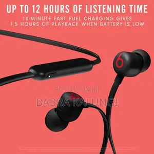 Beats Flex Wireless Earbuds -