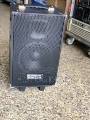 Globalstar Amplifier Speaker With Microphone