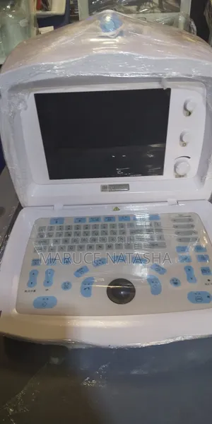 Dp1100 Plus