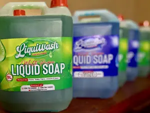 Liquiwash Detergent Enterprises