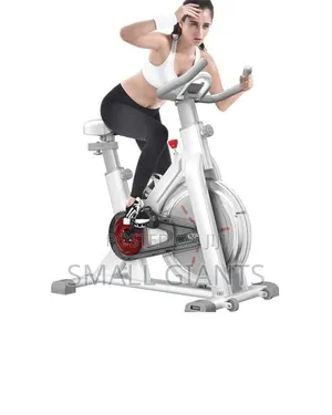 Heavy Indoor Cardio Spinning Exercise Bike