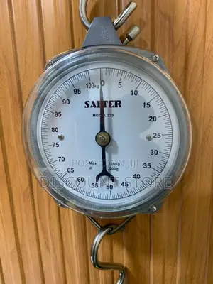 Hanging Light Weigh New Weighing Scale Salter Weighing Scale