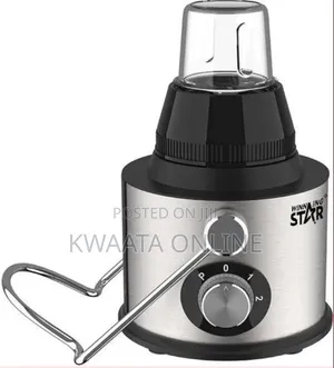 4 in 1 Winning Star St-5556 Multifunctional Blender Juicer