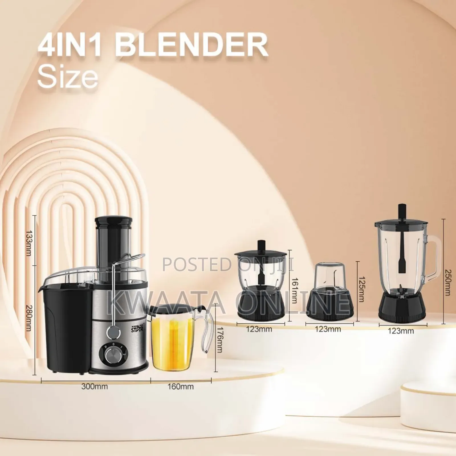 4 in 1 Winning Star St-5556 Multifunctional Blender Juicer
