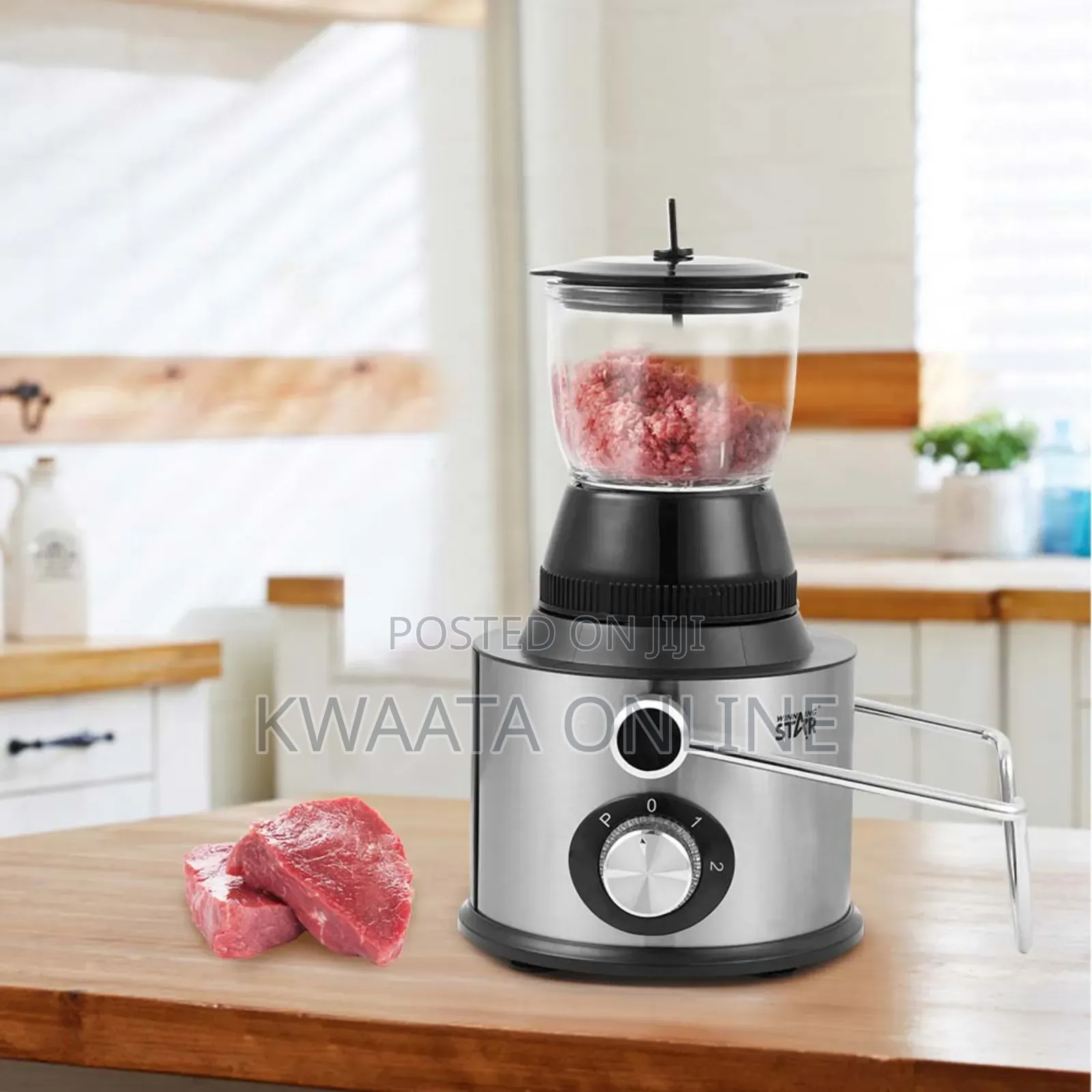 4 in 1 Winning Star St-5556 Multifunctional Blender Juicer