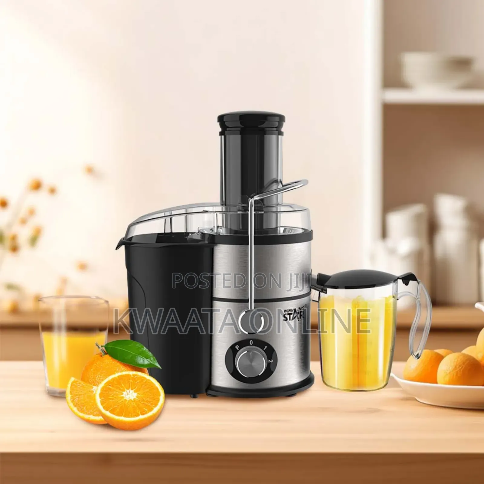 4 in 1 Winning Star St-5556 Multifunctional Blender Juicer