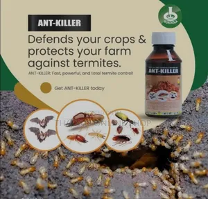 Best Anti-Killers and All Termites in the Anti Hill