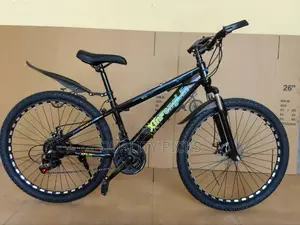 Xflin 24 Inch Bike