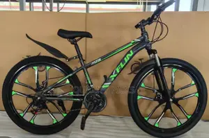 Xflin 24 Inch Bike