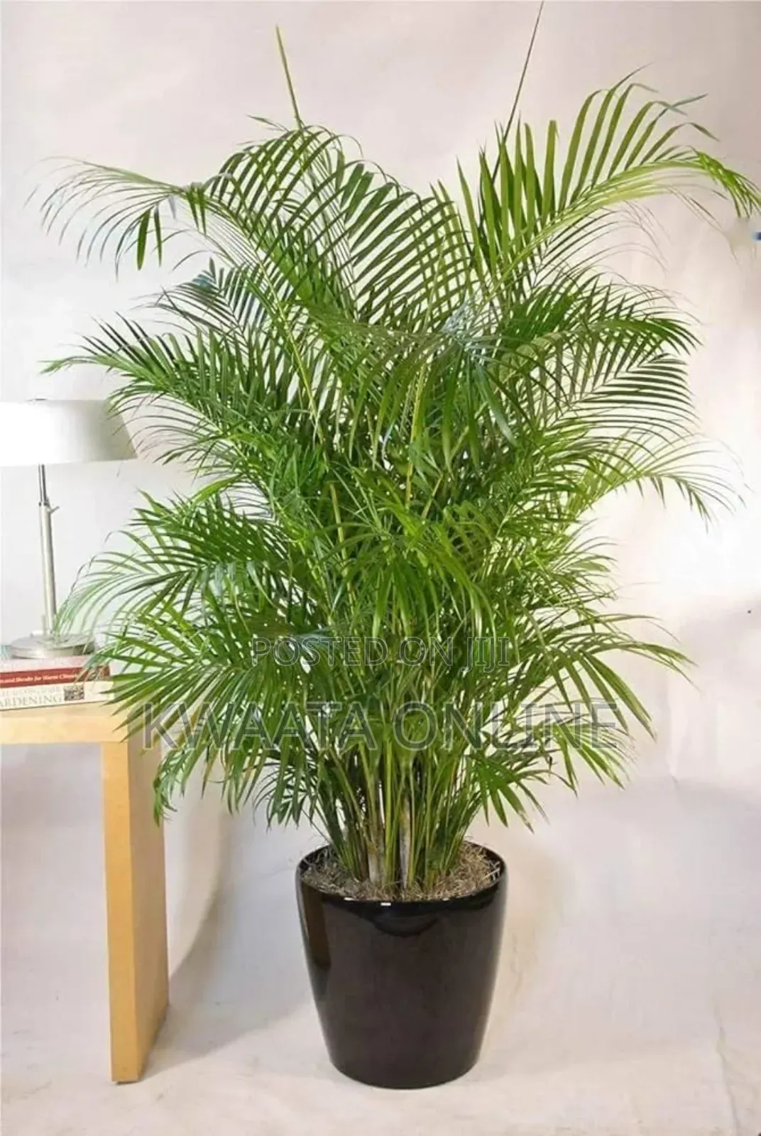 Artificial Palm Tree Outdoor Fake Plants