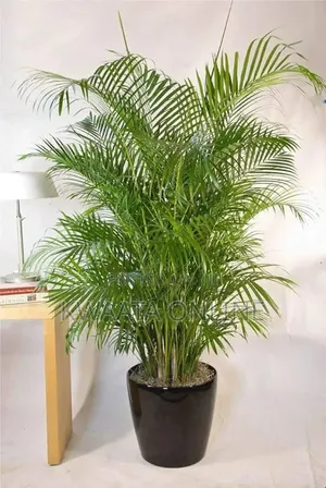 Artificial Palm Tree Outdoor Fake Plants