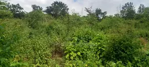 Prime Land 4 Acres for Sale