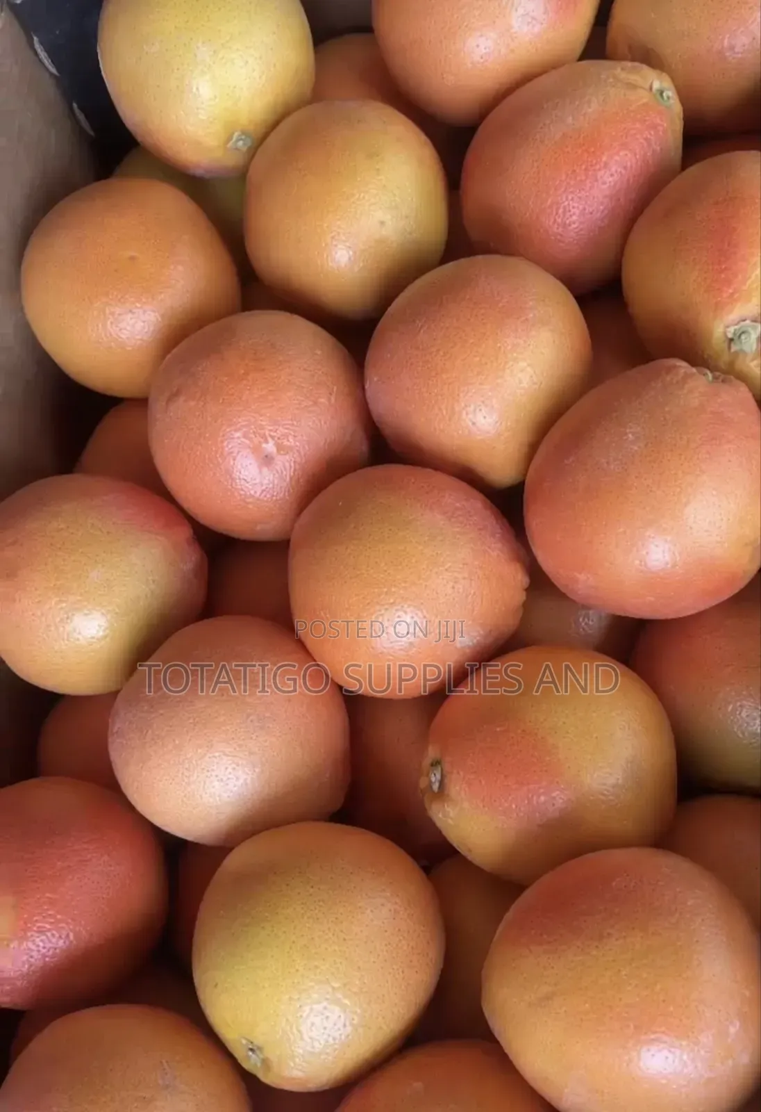 Grape Fruit -1pc