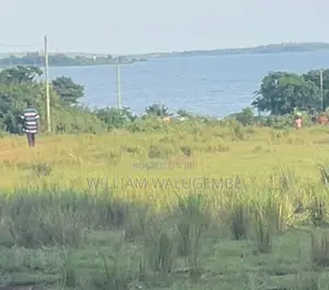 1 Acres With Lake View - Next to Mabamba Lodge Zziba