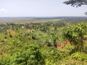 Bussi Island Land for Sale 30 Million Per Acre