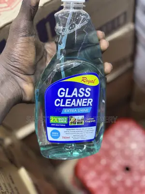 Toilet Cleaners