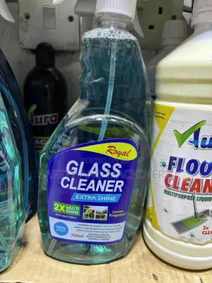 Toilet Cleaners