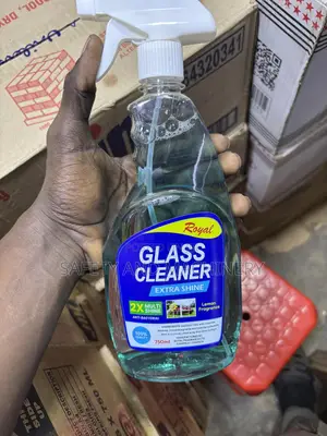 Toilet Cleaners