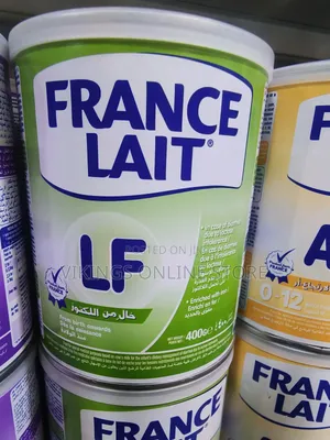 France Lait Lactose Free Milk 400g