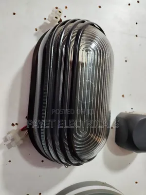 Vip Outdoor Security Wall Light