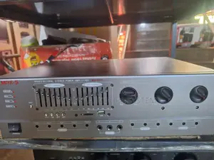 Max -S Domestic Amplifier