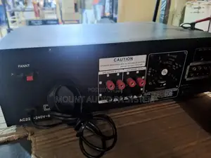 Max -S Domestic Amplifier
